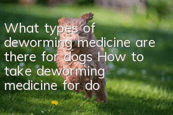 What types of deworming medicine are there for dogs? How to take deworming medicine for dogs?