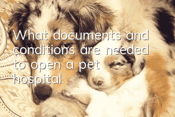 What documents and conditions are needed to open a pet hospital?
