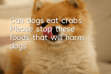 Can dogs eat crabs? Please stop these foods that will harm dogs