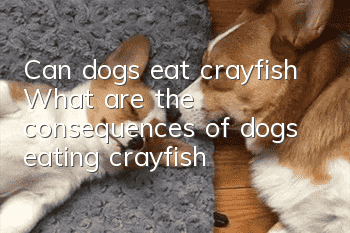 Can dogs eat crayfish? What are the consequences of dogs eating crayfish?