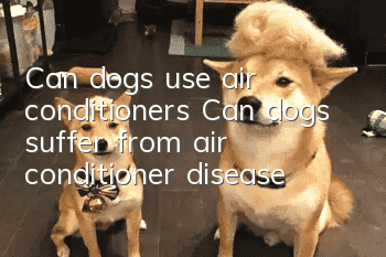 Can dogs use air conditioners? Can dogs suffer from air conditioner disease?