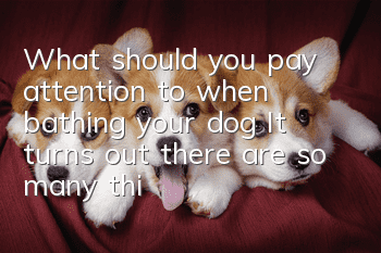 What should you pay attention to when bathing your dog? It turns out there are so many things you need to pay attention to