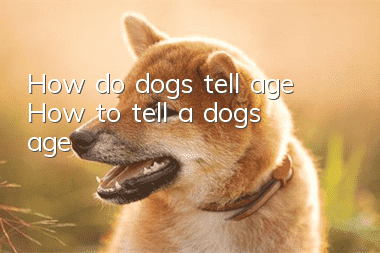 How do dogs tell age? How to tell a dog’s age?