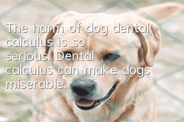 The harm of dog dental calculus is so serious. Dental calculus can make dogs miserable.
