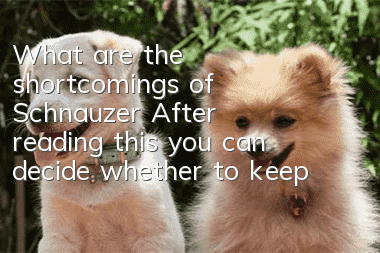 What are the shortcomings of Schnauzer? After reading this, you can decide whether to keep it or not.