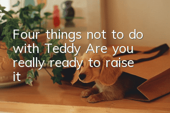 Four things not to do with Teddy: Are you really ready to raise it?