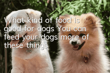 What kind of food is good for dogs? You can feed your dogs more of these things
