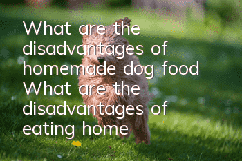 What are the disadvantages of homemade dog food? What are the disadvantages of eating homemade dog food for dogs?