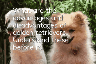 What are the advantages and disadvantages of golden retrievers? Understand these before raising golden retrievers