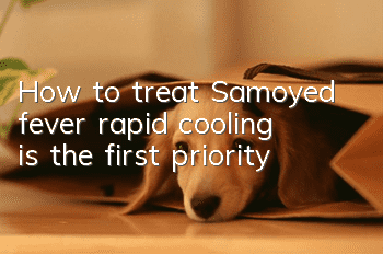 How to treat Samoyed fever: rapid cooling is the first priority