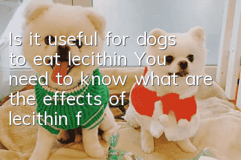 Is it useful for dogs to eat lecithin? You need to know what are the effects of lecithin for dogs!