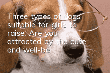 Three types of dogs suitable for girls to raise. Are you attracted by the cute and well-behaved dogs?