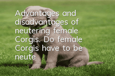 Advantages and disadvantages of neutering female Corgis. Do female Corgis have to be neutered?
