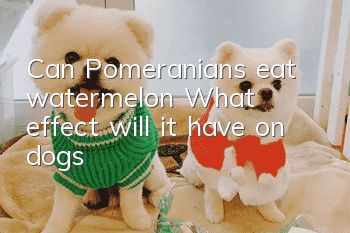 Can Pomeranians eat watermelon? What effect will it have on dogs?