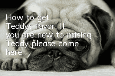 How to get Teddy's favor. If you are new to raising Teddy, please come here.