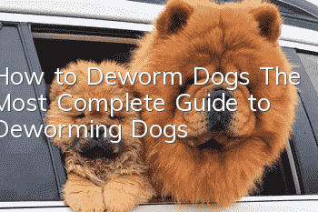 How to Deworm Dogs The Most Complete Guide to Deworming Dogs