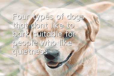 Four types of dogs that don’t like to bark, suitable for people who like quietness