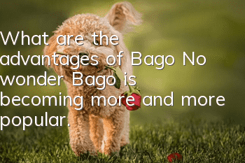 What are the advantages of Bago? No wonder Bago is becoming more and more popular.