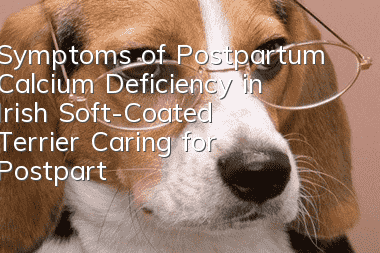 Symptoms of Postpartum Calcium Deficiency in Irish Soft-Coated Terrier Caring for Postpartum Irish Soft-Coated Terrier with Postpartum Calcium Deficiency