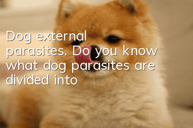 Dog external parasites. Do you know what dog parasites are divided into?