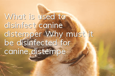 What is used to disinfect canine distemper? Why must it be disinfected for canine distemper?