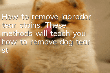 How to remove labrador tear stains. These methods will teach you how to remove dog tear stains.