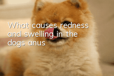 What causes redness and swelling in the dog’s anus?
