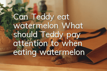 Can Teddy eat watermelon? What should Teddy pay attention to when eating watermelon?