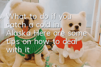 What to do if you catch a cold in Alaska: Here are some tips on how to deal with it