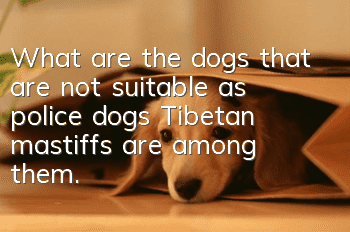 What are the dogs that are not suitable as police dogs? Tibetan mastiffs are among them.