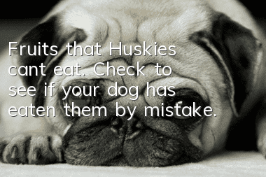 Fruits that Huskies can’t eat. Check to see if your dog has eaten them by mistake.