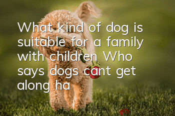 What kind of dog is suitable for a family with children? Who says dogs can’t get along harmoniously with children!