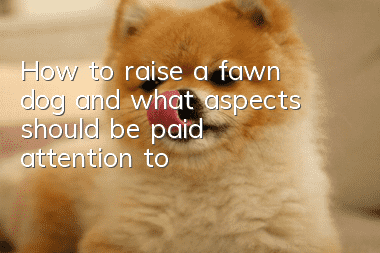 How to raise a fawn dog and what aspects should be paid attention to