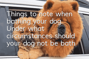Things to note when bathing your dog. Under what circumstances should your dog not be bathed?