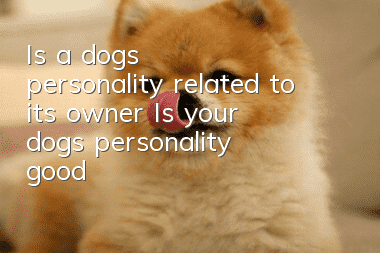 Is a dog’s personality related to its owner? Is your dog’s personality good?