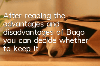 After reading the advantages and disadvantages of Bago, you can decide whether to keep it or not!