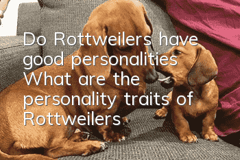 Do Rottweilers have good personalities? What are the personality traits of Rottweilers?