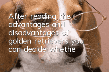 After reading the advantages and disadvantages of golden retrievers, you can decide whether to raise golden retrievers or not.