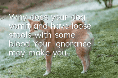 Why does your dog vomit and have loose stools with some blood? Your ignorance may make your dog burp.