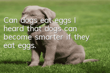 Can dogs eat eggs? I heard that dogs can become smarter if they eat eggs.