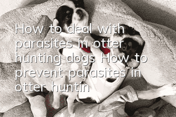 How to deal with parasites in otter hunting dogs? How to prevent parasites in otter hunting dogs?