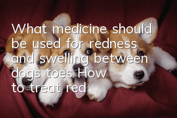 What medicine should be used for redness and swelling between dog's toes? How to treat redness and swelling between dogs' toes?