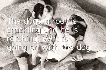 The dog’s throat is crackling and he is retching. What’s going on with the dog?