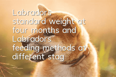 Labrador's standard weight at four months and Labrador's feeding methods at different stages