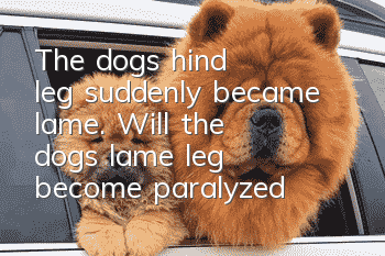 The dog's hind leg suddenly became lame. Will the dog's lame leg become paralyzed?