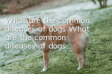 What are the common diseases of dogs? What are the common diseases of dogs?