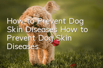 How to Prevent Dog Skin Diseases How to Prevent Dog Skin Diseases