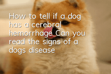 How to tell if a dog has a cerebral hemorrhage? Can you read the signs of a dog’s disease?