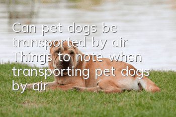 Can pet dogs be transported by air? Things to note when transporting pet dogs by air