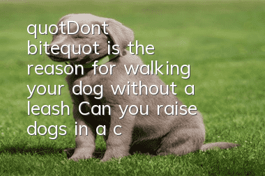"Don't bite" is the reason for walking your dog without a leash? Can you raise dogs in a civilized manner?